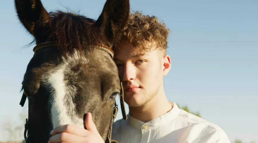 découvrez le curly horse, une race de cheval unique connue pour sa robe bouclée, son caractère doux et sa robustesse. parfait pour l'équitation et les loisirs équestres.