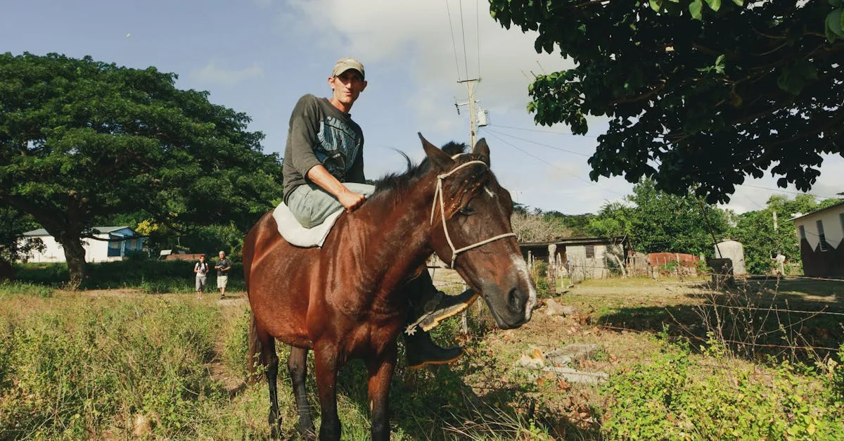 découvrez les joies de l'équitation : explorez des balades à cheval pour tous les niveaux, en pleine nature ou en centre équestre.