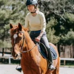 découvrez l'équitation : une activité passionnante qui vous connecte à la nature et aux chevaux, idéale pour tous les niveaux.