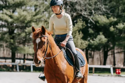 découvrez l'équitation : une activité passionnante qui vous connecte à la nature et aux chevaux, idéale pour tous les niveaux.