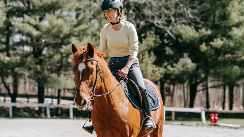 découvrez l'équitation : une activité passionnante qui vous connecte à la nature et aux chevaux, idéale pour tous les niveaux.