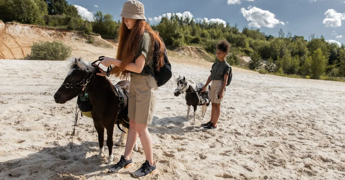 découvrez les différentes catégories de tailles de poneys pour mieux choisir la race adaptée à vos besoins et garantir le bien-être de votre cheval.