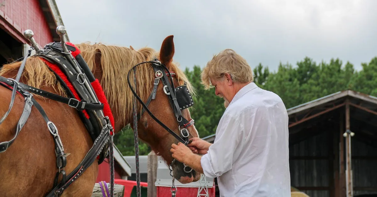 stableman : votre solution fiable pour la gestion et le suivi de vos chevaux, alliant simplicité et efficacité.