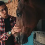 découvrez stableman, votre expert en solutions stables et fiables pour tous vos projets. innovant, sécurisé et performant, stableman garantit qualité et durabilité.