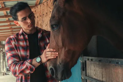 découvrez stableman, votre expert en solutions stables et fiables pour tous vos projets. innovant, sécurisé et performant, stableman garantit qualité et durabilité.