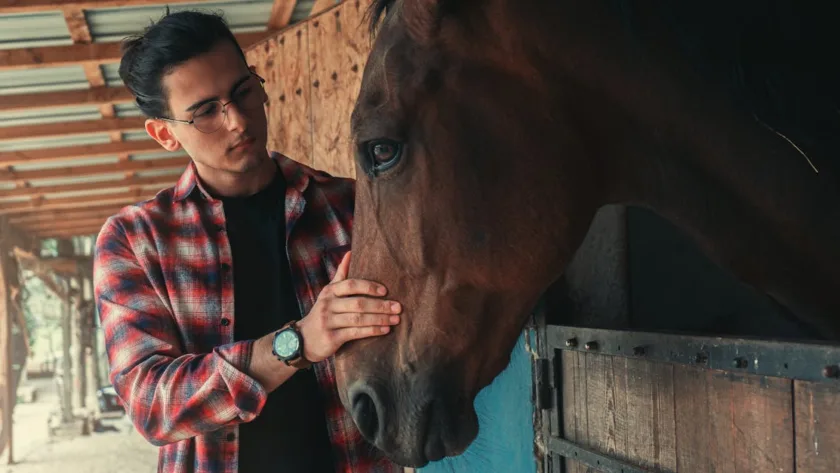 découvrez stableman, votre expert en solutions stables et fiables pour tous vos projets. innovant, sécurisé et performant, stableman garantit qualité et durabilité.