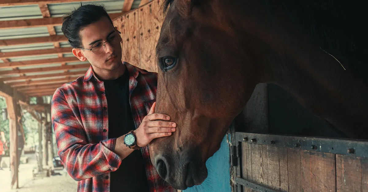 découvrez stableman, votre expert en solutions stables et fiables pour tous vos projets. innovant, sécurisé et performant, stableman garantit qualité et durabilité.