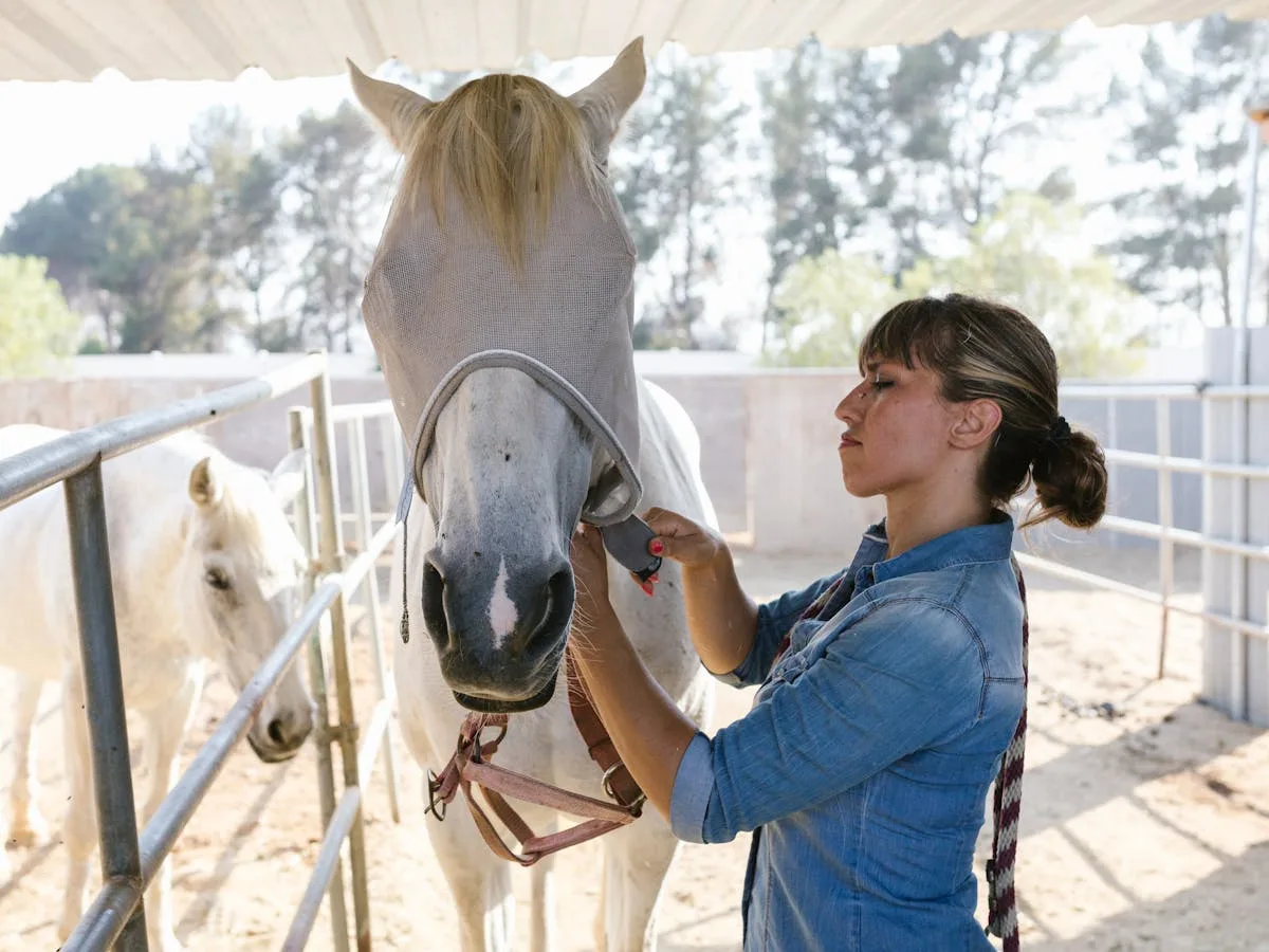 faute vétérinaire cheval que faire