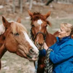faute vétérinaire cheval recours