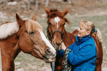 faute vétérinaire cheval recours