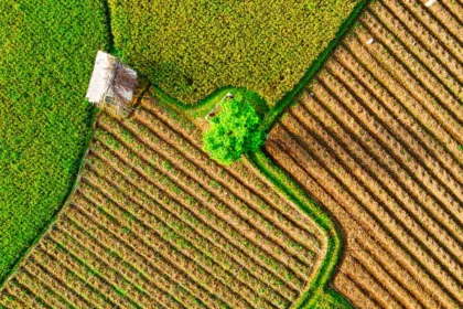 découvrez l'agriculture écologique, une méthode durable qui respecte l'environnement en favorisant la biodiversité, la santé des sols et la réduction des pesticides.