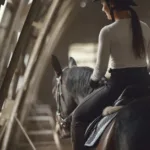 assurance équine : protégez votre cheval contre les accidents, maladies et responsabilités avec des garanties adaptées à vos besoins.