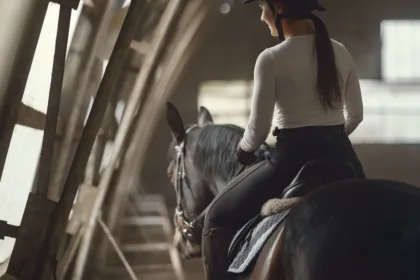 assurance équine : protégez votre cheval contre les accidents, maladies et responsabilités avec des garanties adaptées à vos besoins.