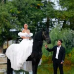 découvrez le prix des chevaux frisons, une race élégante et puissante. obtenez des informations sur le coût d'achat, l'entretien et les facteurs influençant le prix.