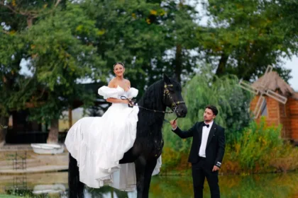 découvrez le prix des chevaux frisons, une race élégante et puissante. obtenez des informations sur le coût d'achat, l'entretien et les facteurs influençant le prix.