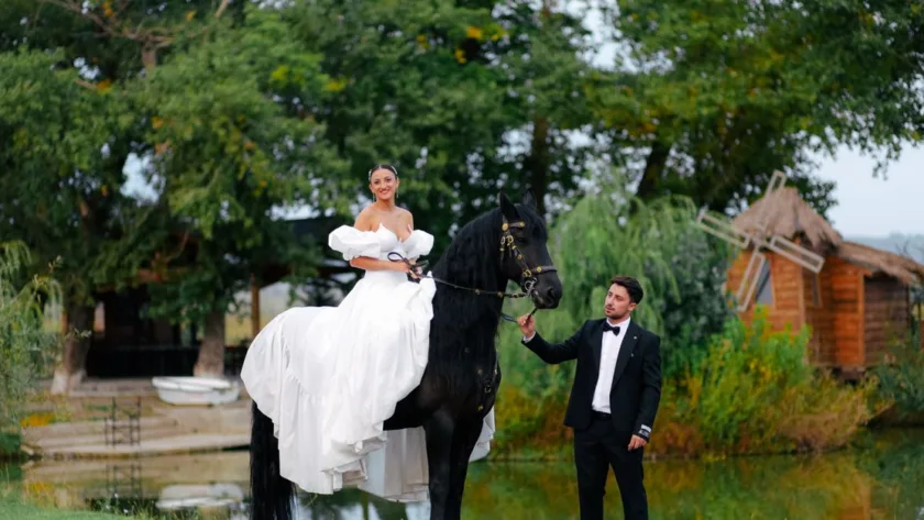 découvrez le prix des chevaux frisons, une race élégante et puissante. obtenez des informations sur le coût d'achat, l'entretien et les facteurs influençant le prix.