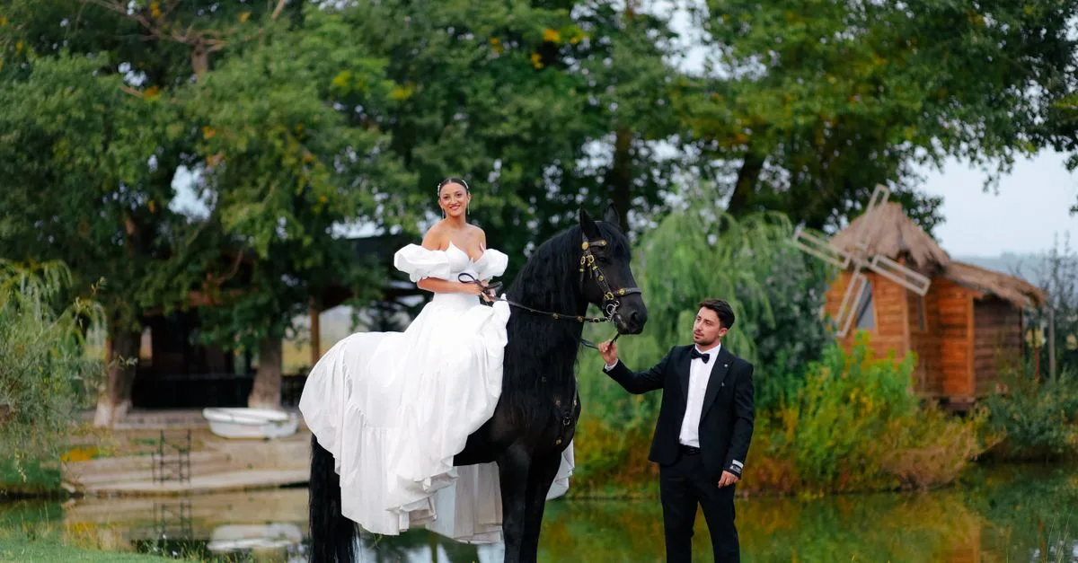 découvrez le prix des chevaux frisons, une race élégante et puissante. obtenez des informations sur le coût d'achat, l'entretien et les facteurs influençant le prix.