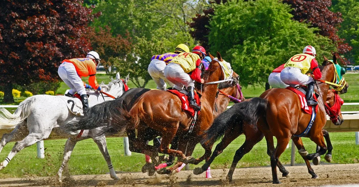 expert en course hippique : analyses, pronostics et conseils pour parier sur les chevaux avec succès.