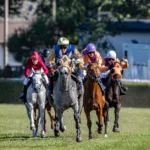 expert en courses hippiques : analyses, pronostics et conseils pour parier avec succès sur les courses de chevaux.