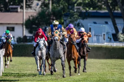 expert en courses hippiques : analyses, pronostics et conseils pour parier avec succès sur les courses de chevaux.