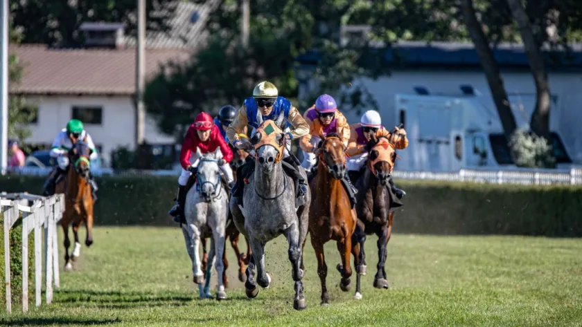 expert en courses hippiques : analyses, pronostics et conseils pour parier avec succès sur les courses de chevaux.