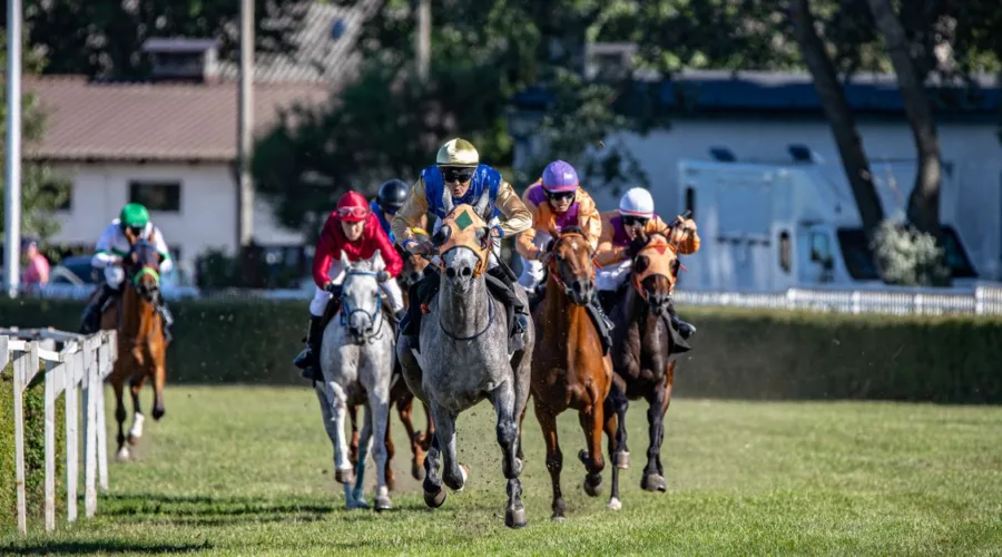 expert en courses hippiques : analyses, pronostics et conseils pour parier avec succès sur les courses de chevaux.