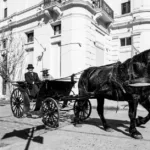 découvrez le cheval mérens, une race rustique et élégante, parfaite pour l'équitation de loisir et le travail en montagne. apprenez tout sur ses caractéristiques, son histoire et son caractère.