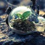 découvrez les réglementations environnementales essentielles pour protéger notre planète et assurer un développement durable.