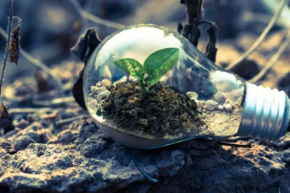découvrez les réglementations environnementales essentielles pour protéger notre planète et assurer un développement durable.