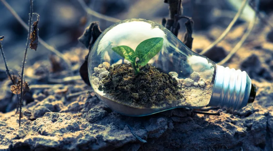 découvrez les réglementations environnementales essentielles pour protéger notre planète et assurer un développement durable.