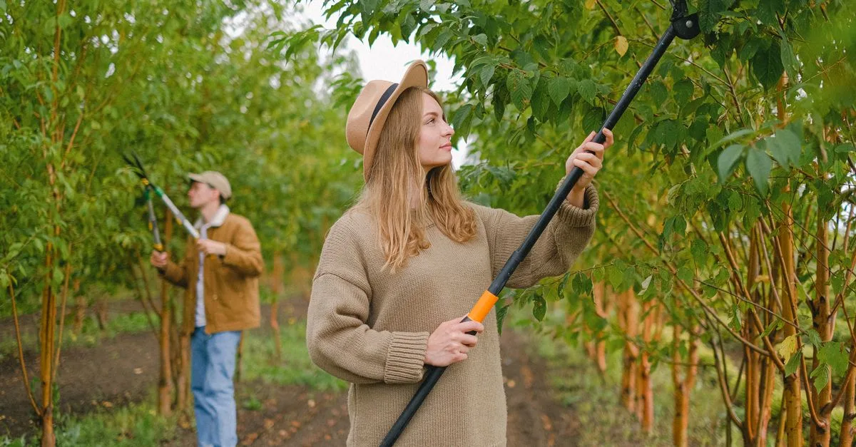 découvrez les techniques essentielles d'élagage pour favoriser la santé et la croissance de vos arbres et plantes.