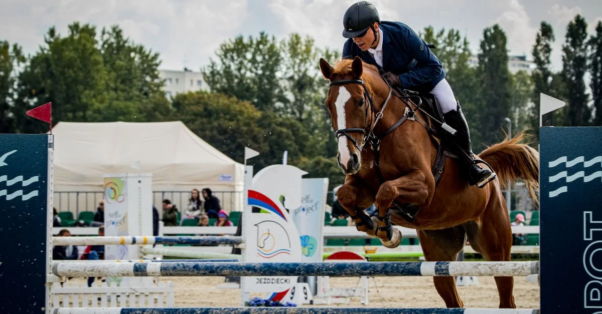 découvrez la durée de validité de la licence équestre, les démarches de renouvellement et les conditions à respecter pour pratiquer l’équitation.