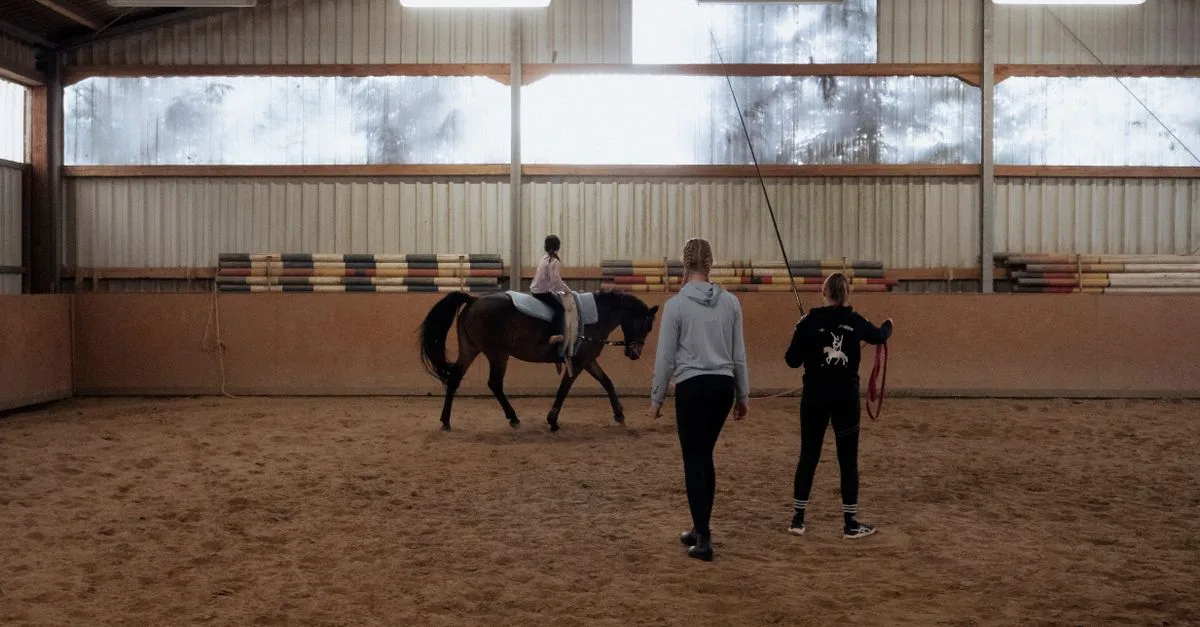 évaluez vos compétences équestres avec le galop 3 : maîtrise des allures, équilibre, contrôle du cheval et connaissances essentielles.