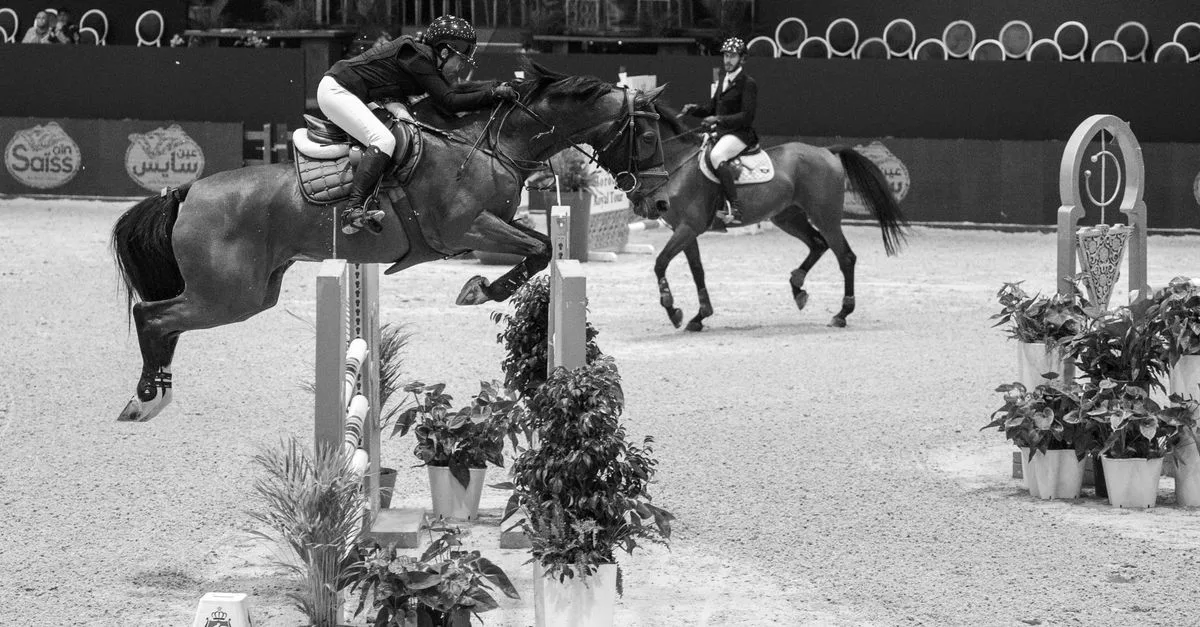 préparez le galop 4 avec des exercices de dressage et de saut d’obstacles pour progresser en technique, équilibre et confiance.