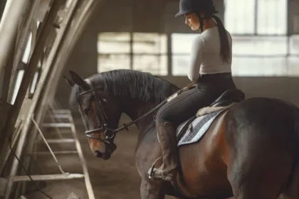 préparez votre galop 4 avec des exercices de dressage et de saut d’obstacles pour progresser en technique, équilibre et confiance.