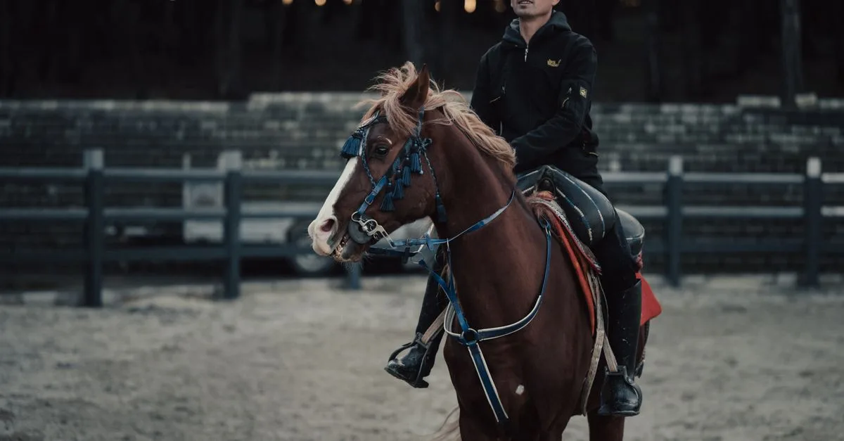 découvrez les compétences équestres du galop 6 : perfectionnez votre technique et progressez en dressage, saut d’obstacles et soins aux chevaux.