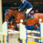 découvrez les compétences équestres du galop 6 : maîtrise des allures, dressage, saut d’obstacles et soins au cheval pour progresser avec confiance.