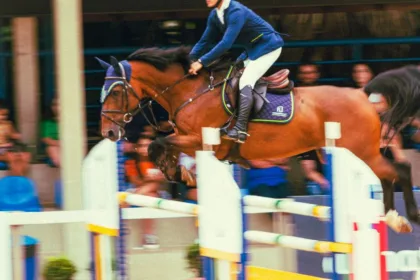 découvrez les compétences équestres du galop 6 : maîtrise des allures, dressage, saut d’obstacles et soins au cheval pour progresser avec confiance.