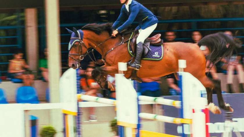 découvrez les compétences équestres du galop 6 : maîtrise des allures, dressage, saut d’obstacles et soins au cheval pour progresser avec confiance.