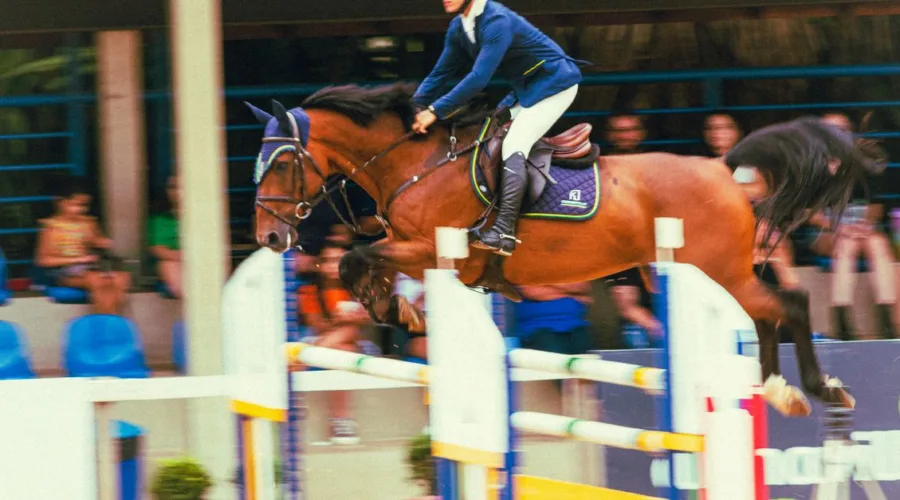 découvrez les compétences équestres du galop 6 : maîtrise des allures, dressage, saut d’obstacles et soins au cheval pour progresser avec confiance.