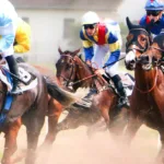 révisez les figures de dressage du galop 7 : tracés, transitions et précision pour mieux préparer votre reprise et réussir l’examen.
