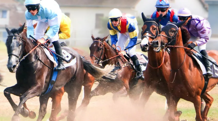 révisez les figures de dressage du galop 7 : tracés, transitions et précision pour mieux préparer votre reprise et réussir l’examen.