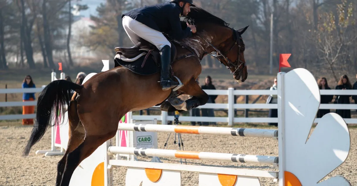 préparez votre concours de saut d’obstacles : entraînement, équipement et conseils pratiques pour aborder l’épreuve avec confiance.