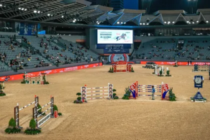 préparez votre concours de saut d’obstacles : entraînement du cheval, équipement essentiel et conseils pratiques pour réussir le jour j.
