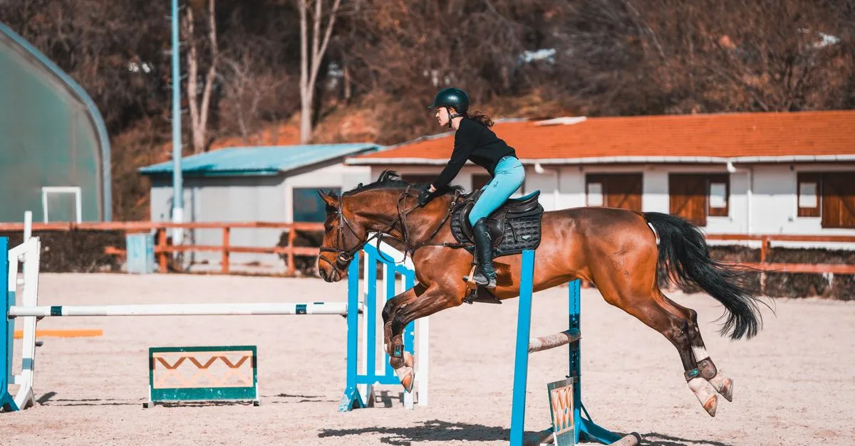 découvrez des techniques efficaces pour mémoriser un parcours de saut d’obstacles et aborder chaque obstacle avec confiance et précision.