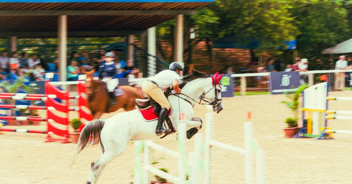 comprenez le système de notation du saut d’obstacles : pénalités pour les barres tombées, les refus et le dépassement du temps, et critères de classement.
