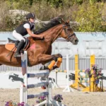 découvrez le système de notation en saut d’obstacles : pénalités, temps, parcours sans faute et critères qui déterminent le classement.