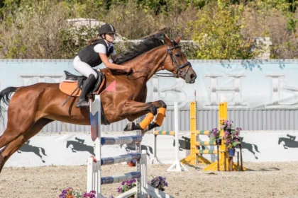 découvrez le système de notation en saut d’obstacles : pénalités, temps, parcours sans faute et critères qui déterminent le classement.