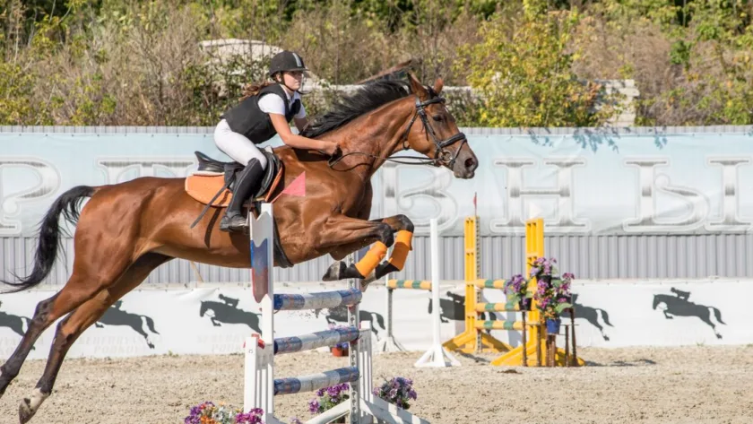 découvrez le système de notation en saut d’obstacles : pénalités, temps, parcours sans faute et critères qui déterminent le classement.